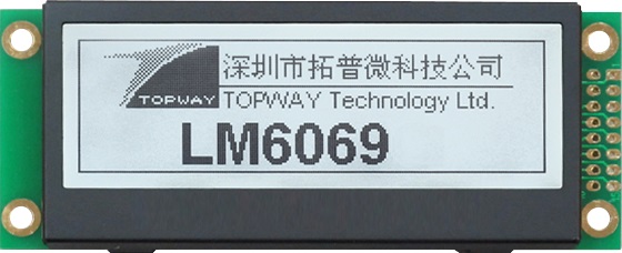 Graphic LCD LM6069DCW